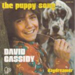 1973_David_Cassidy_Daydreamer
