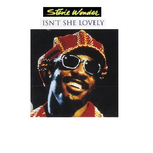 1976 Stevie Wonder – Isn't She Lovely (UK:#94) | Sessiondays