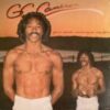 1977 G.C. Cameron - You're What's Missing In My Life