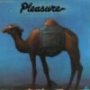 1975 Pleasure - Dust Yourself Off