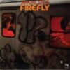 1977 Jeremy Steig - Firefly